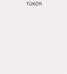 TÜKÖR